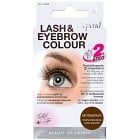 Depend Lash & Eyebrow Colour, Dark Brown
