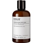 Evolve Organic Beauty Superfood Shine Conditioner 250 ml