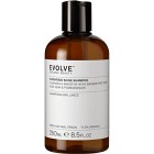 Evolve Organic Beauty Superfood Shine Shampoo 250 ml