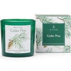 In Flore Ingrid Doftljus, Cedar Pine 300 g