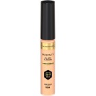 Max Factor Facefinity All Day Flawless Concealer 10