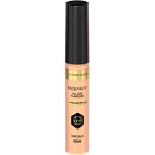 Max Factor Facefinity All Day Flawless Concealer 30