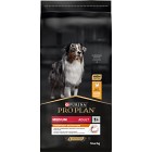 Purina Pro Plan Medium Adult - EVERYDAY NUTRITION 14 kg