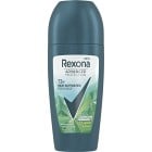 Rexona Men 72h Advanced Protection Iced Lemon & Sage Roll-On 50 ml