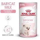 Royal Canin Babycat Milk Mjölk för kattunge 300 g