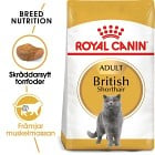 Royal Canin British Shorthair Adult Torrfoder för katt 10 kg