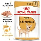 Royal Canin Chihuahua Adult Loaf Våtfoder för hund 12x85 g
