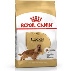 Royal Canin Cocker Adult Torrfoder för hund 12 kg