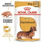 Royal Canin Dachshund Adult Loaf Våtfoder för hund 12x85 g