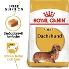 Royal Canin Dachshund Adult Torrfoder för hund 7,5 kg