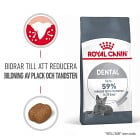 Royal Canin Dental Care Adult Torrfoder för katt 8 kg