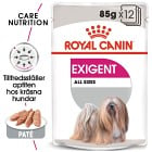 Royal Canin Exigent Adult Våtfoder för hund 12x85 g