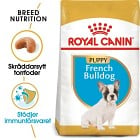 Royal Canin French Bulldog Puppy Torrfoder för hundvalp 10 kg