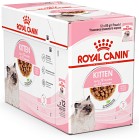 Royal Canin Kitten Gravy Våtfoder för kattunge 12x85 g