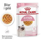 Royal Canin Kitten Jelly Våtfoder för kattunge 12x85 g