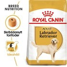 Royal Canin Labrador Retriever Adult Torrfoder för hund 12 kg