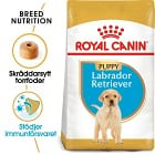 Royal Canin Labrador Retriever Puppy Torrfoder för hundvalp 12 kg