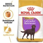 Royal Canin Labrador Retriever Sterilised Adult Torrfoder för hund 12 kg