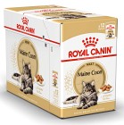 Royal Canin Maine Coon Adult Gravy Våtfoder för katt 12x85 g