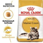 Royal Canin Maine Coon Adult Torrfoder för katt 4 kg