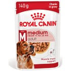 Royal Canin Medium Adult Gravy Våtfoder för hund 10x140 g