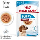 Royal Canin Medium Puppy Gravy Våtfoder för hundvalp 10x140 g