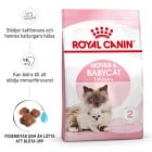 Royal Canin Mother & Babycat torrfoder för katt och kattunge 2 kg