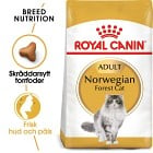 Royal Canin Norwegian Forest Cat Adult Torrfoder för katt 2 kg