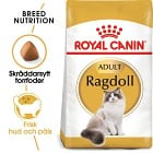 Royal Canin Ragdoll Adult Torrfoder för katt 10 kg