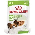 Royal Canin X-Small Adult Gravy Våtfoder för hund 12x85 g