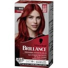 Schwarzkopf Brillance 842 Cashmere