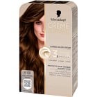 Schwarzkopf Creme Supreme 6-68 Light Caramel Brown