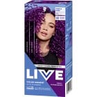 Schwarzkopf LIVE Color Moment 94 Purple Punk