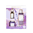 Sunday Rain Lavender & Cedarwood Relax Trio