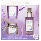Sunday Rain Lavender & Cedarwood Sleep Easy Trio
