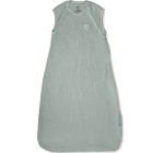 SwaddleMe by Ingenuity Sovsäck, Mossa