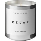 Tangent GC Cedar Bougie Parfumée 200 g