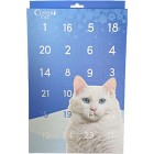 Clever Cat Christmas Calendar
