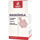 Upgrit Magkänsla Mjölksyrabakterier 60 kapslar