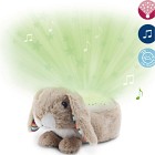 Zazu Ruby the Rabbit Projector