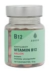 Zoeco Vitamin B12 Hallon 100 tuggtabletter