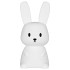 Big Bunny
