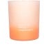 Apricot & Fresia