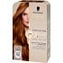 7-7 Copper Dark Blonde