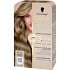 8-16 Cool Ash Blonde