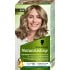 533 Nordisk Askblond