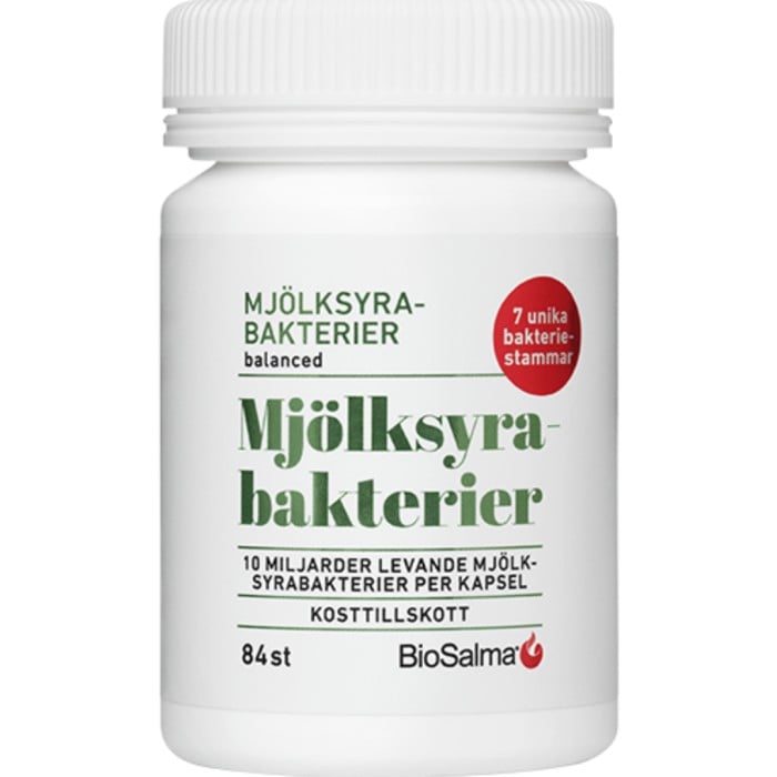 Mjölksyrabakterier